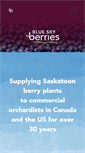 Mobile Screenshot of blueskyberries.com