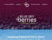 Tablet Screenshot of blueskyberries.com